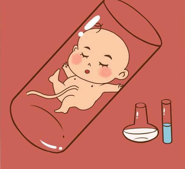 人工受精费用
