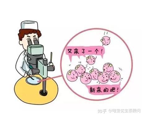 试管婴儿移植