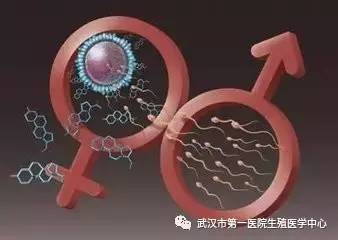 佛山试管婴儿