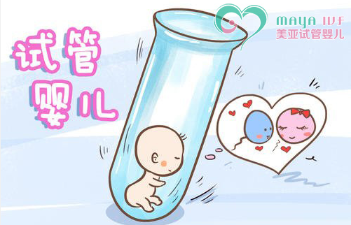 试管婴儿反应