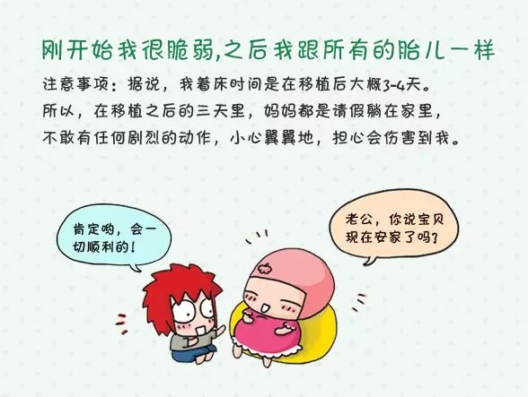 试管婴儿服务
