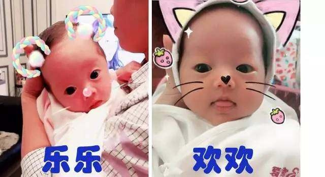 试管胚胎