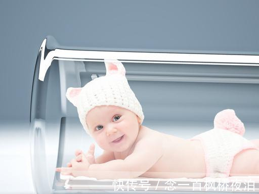 试管吃牛肉