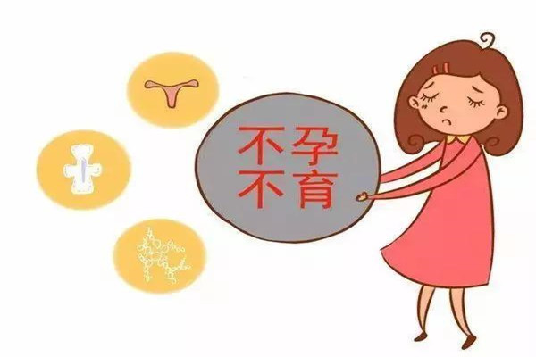 助孕代怀