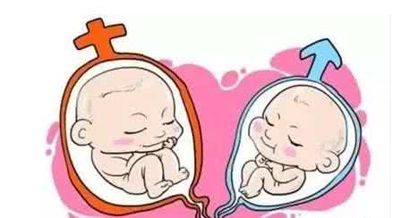 试管婴儿助孕