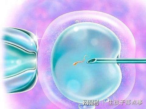 上海捐卵公司