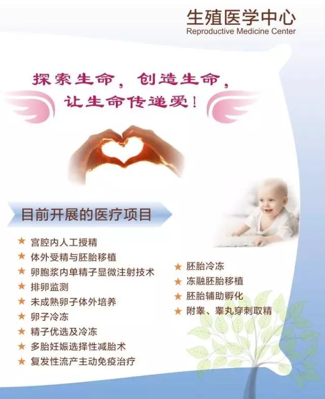 东莞捐卵公司