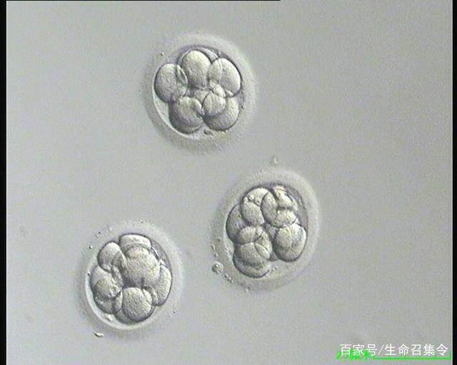 想怀孕怀不上