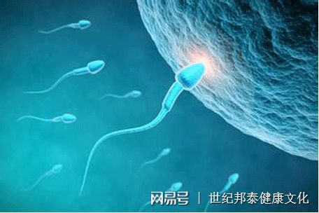不孕不育电话登记