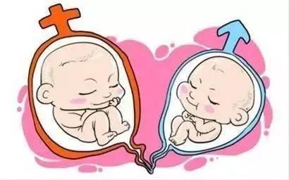 上海最有名的咨询公司