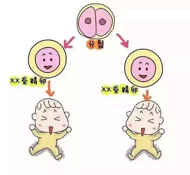 上海高薪招聘捐卵