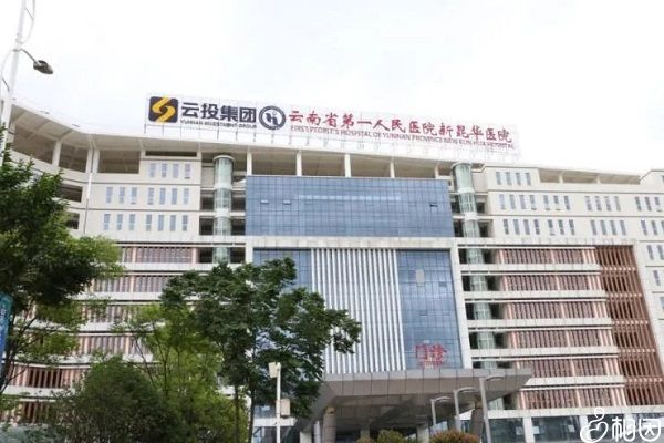 上海车险公司排名
