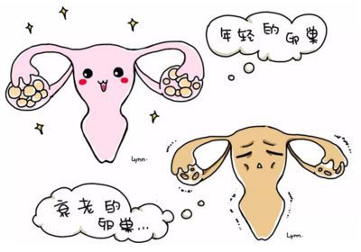 东莞有偿招聘捐卵女孩