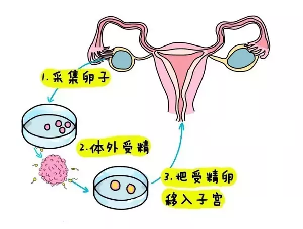 上海最有名的咨询公司