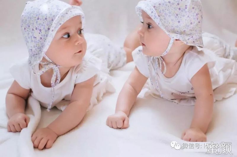 上海捐卵公司